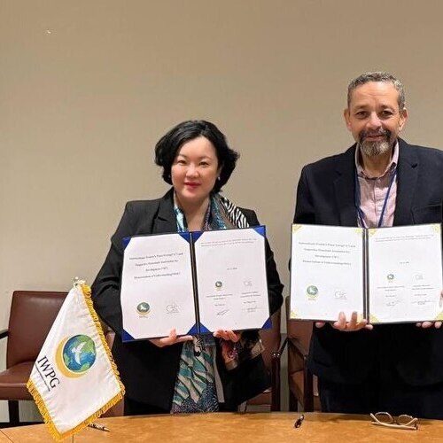 IWPG 글로벌 2국, 이집트 NGO ‘SHAD’와 협력… 평화 네트워크 확장