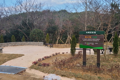 무안군, 나눔숲 조성으로 산림복지 증진에 앞장