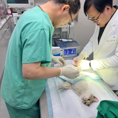 순천시, 중증장애인 및 취약계층 반려동물 진료비 지원