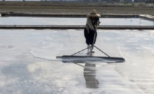 임자면 농아인 염전근로자 억울함 호소 민원 제보돼 ‘충격’